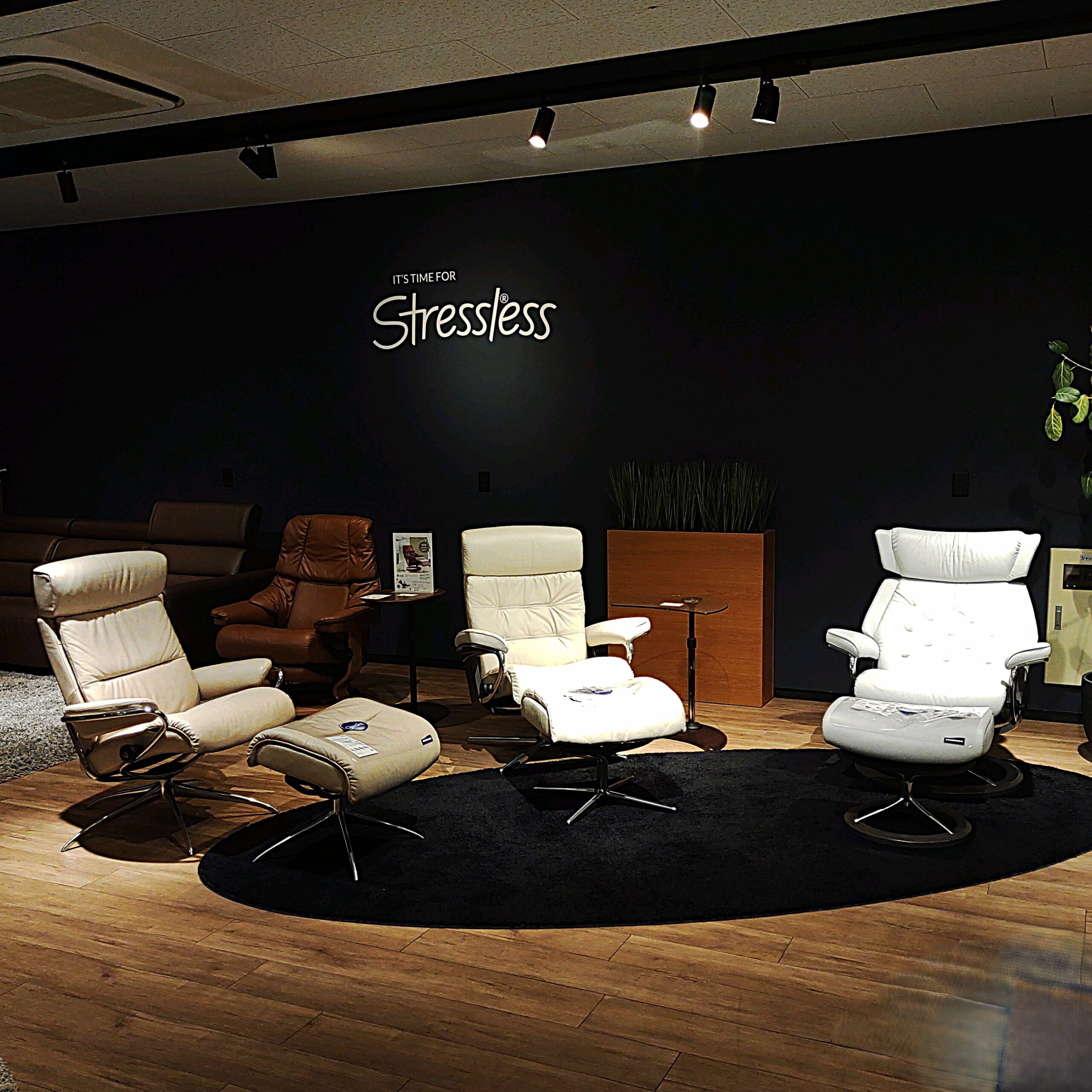 展示店限定＜希少モデル＞あります